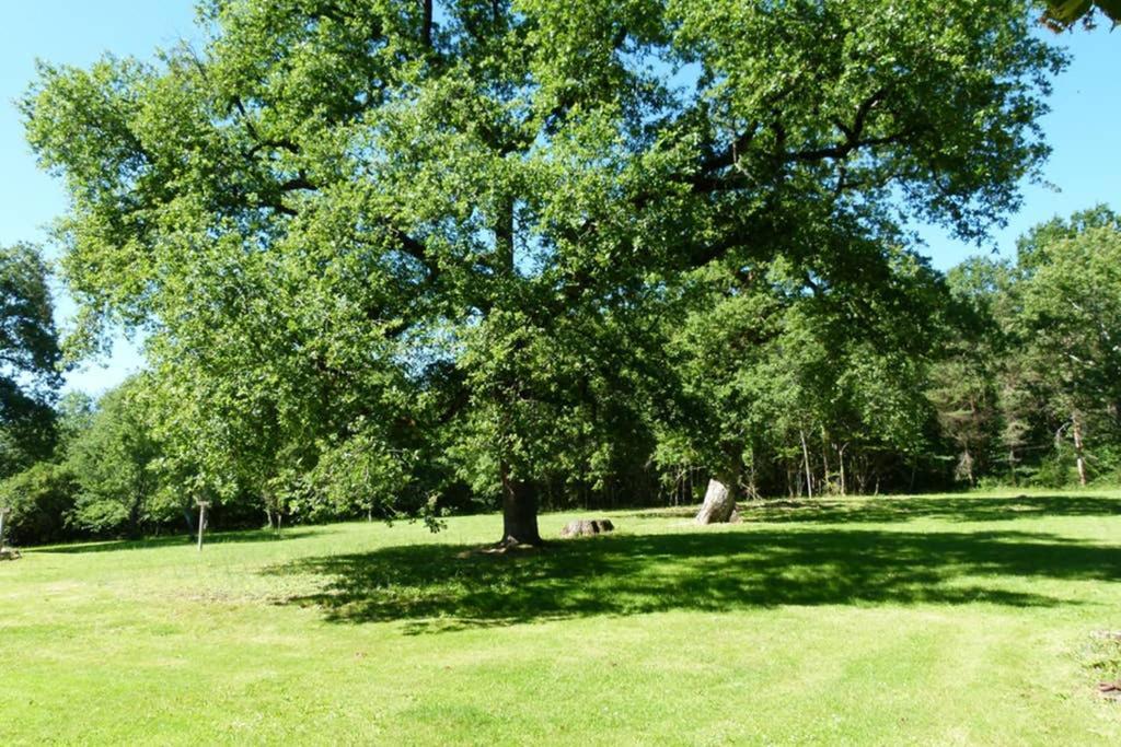 Gite En Brenne Les Chenes Merigny Εξωτερικό φωτογραφία